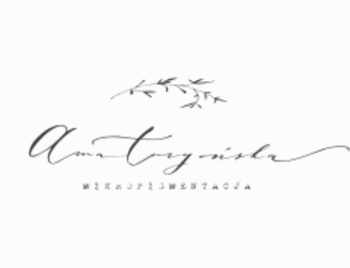 Identyfikacja wizualna Anna Targońska